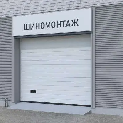 Промышленные ворота цвет белый